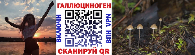 Галлюциногенные грибы мицелий  OMG маркетплейс  Каспийск 